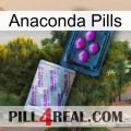 Anaconda Pills 37